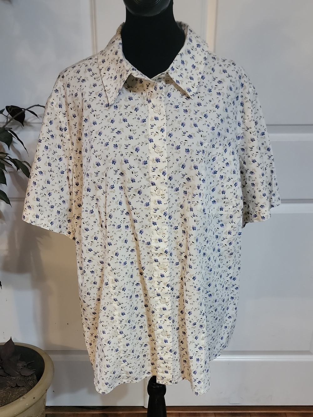 Classic Elements Cream Short-Sleeve Blue Floral Button-Up Blouse